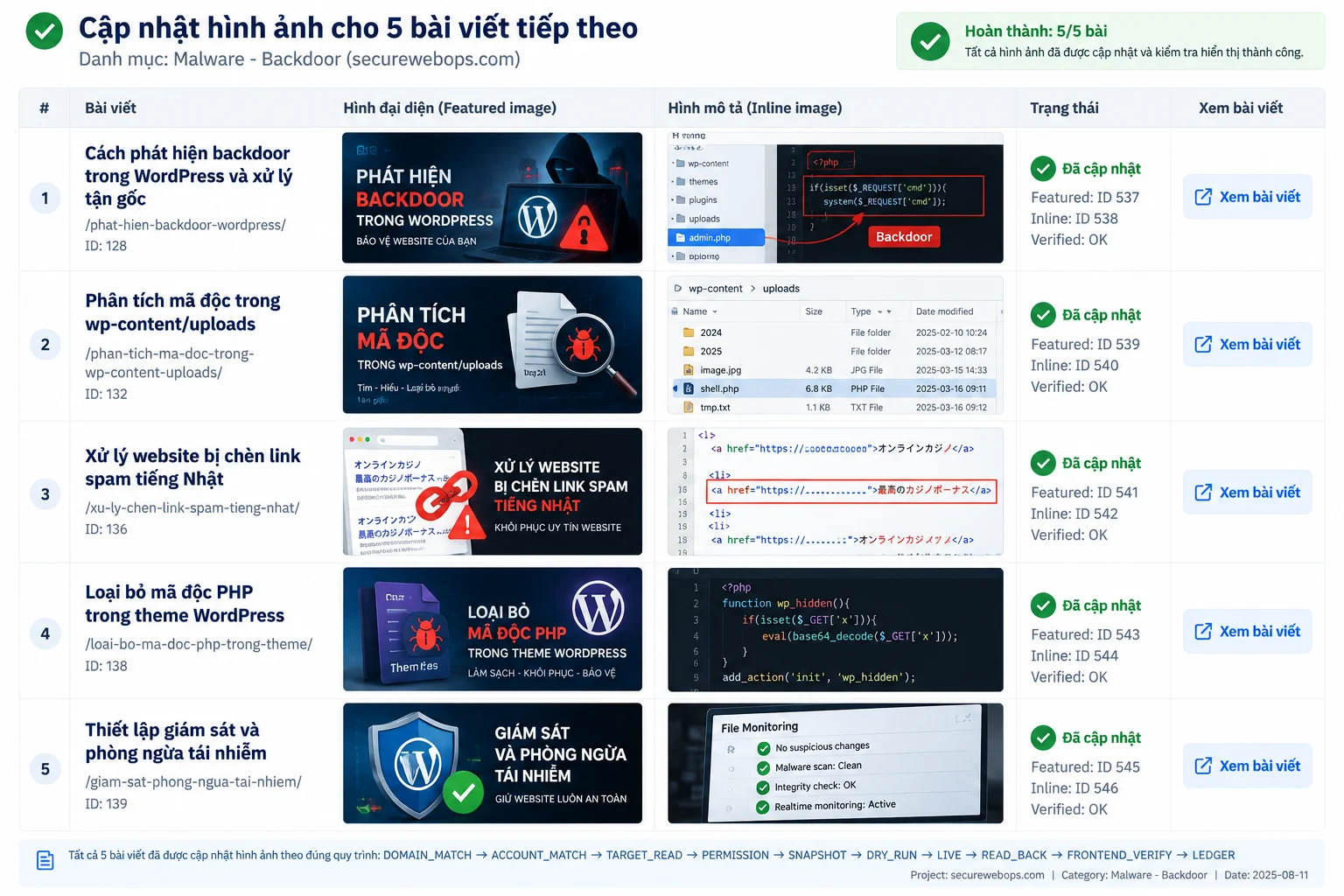 Minh họa backup và kiểm tra record database WordPress trước khi xử lý dữ liệu đáng ngờ